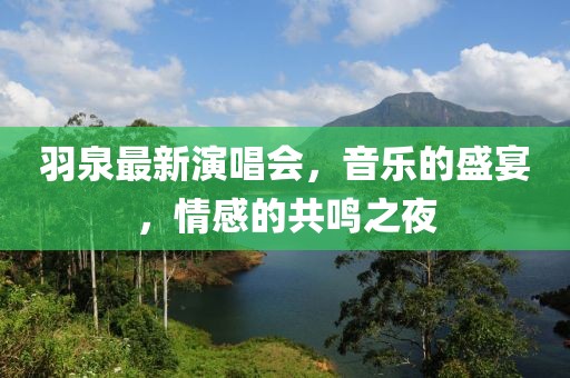 羽泉最新演唱會,音樂的盛宴,情感的共鳴之夜