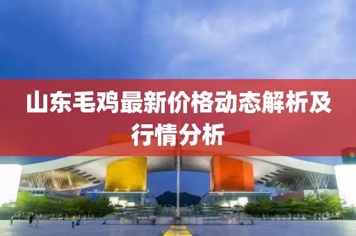 山東毛雞最新價格動態解析及行情分析