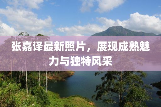 張嘉譯最新照片,展現成熟魅力與獨特風采