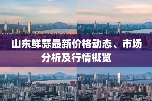 山東鮮蒜最新價(jià)格動(dòng)態(tài)、市場(chǎng)分析及行情概覽