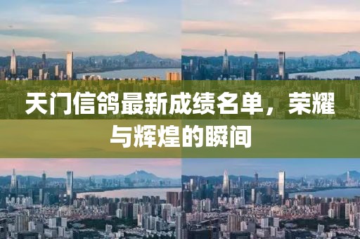 天門信鴿最新成績名單,榮耀與輝煌的瞬間