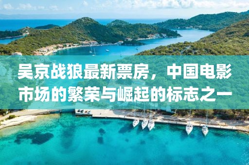 吳京戰狼最新票房,中國電影市場的繁榮與崛起的標志之一