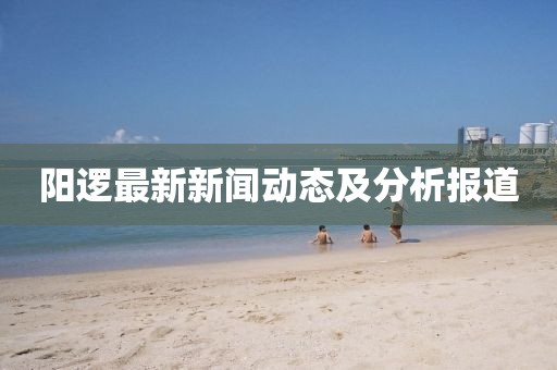 陽邏最新新聞動態及分析報道