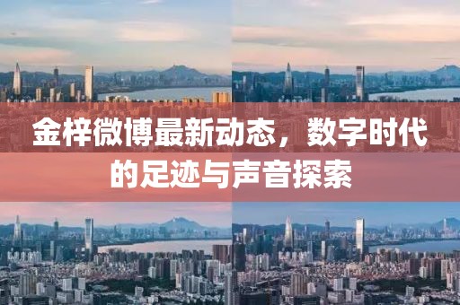 金梓微博最新動態,數字時代的足跡與聲音探索