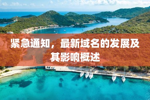 緊急通知,最新域名的發(fā)展及其影響概述