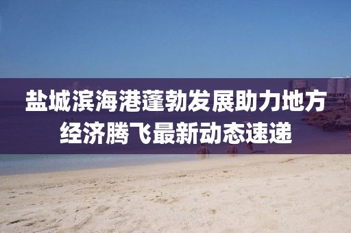 鹽城濱海港蓬勃發(fā)展助力地方經(jīng)濟(jì)騰飛最新動態(tài)速遞