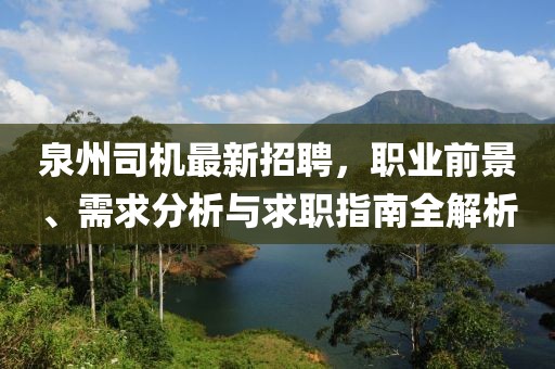泉州司機最新招聘，職業(yè)前景、需求分析與求職指南全解析