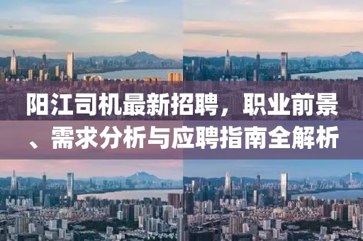 陽(yáng)江司機(jī)最新招聘,職業(yè)前景、需求分析與應(yīng)聘指南全解析