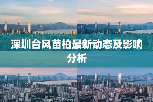 深圳臺風苗柏最新動態及影響分析