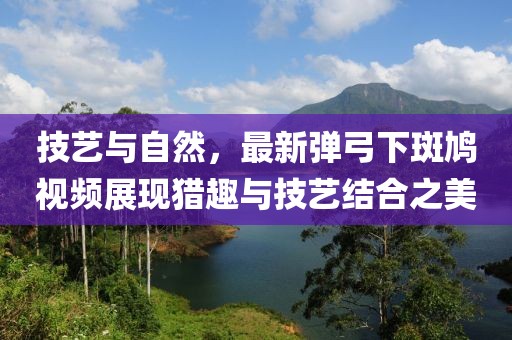 技藝與自然,最新彈弓下斑鳩視頻展現獵趣與技藝結合之美