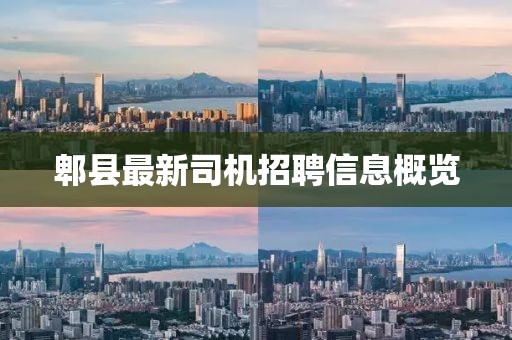 郫縣最新司機招聘信息概覽
