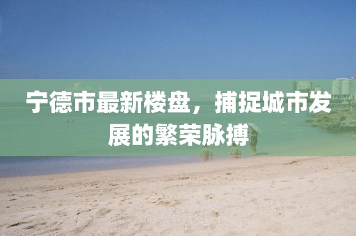 寧德市最新樓盤,捕捉城市發展的繁榮脈搏