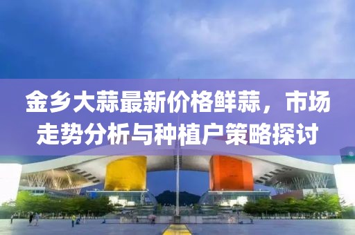 金鄉大蒜最新價格鮮蒜,市場走勢分析與種植戶策略探討