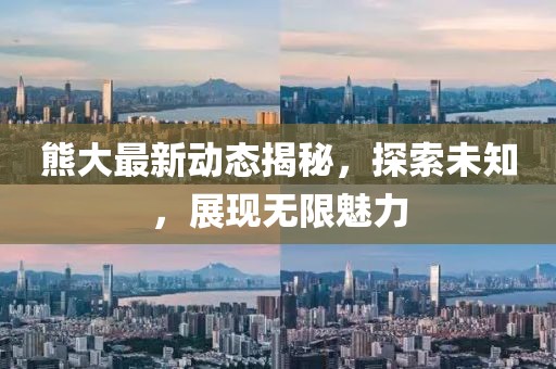 熊大最新動態(tài)揭秘,探索未知,展現(xiàn)無限魅力