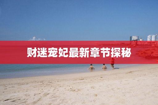 財迷寵妃最新章節探秘