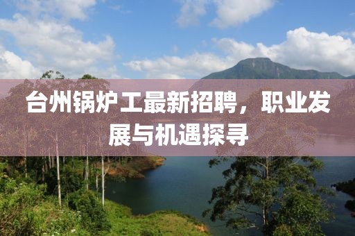 臺(tái)州鍋爐工最新招聘,職業(yè)發(fā)展與機(jī)遇探尋