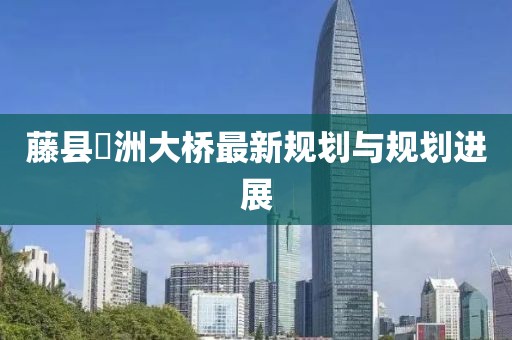 藤縣禤洲大橋最新規(guī)劃與規(guī)劃進展