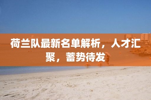 荷蘭隊(duì)最新名單解析,人才匯聚,蓄勢(shì)待發(fā)