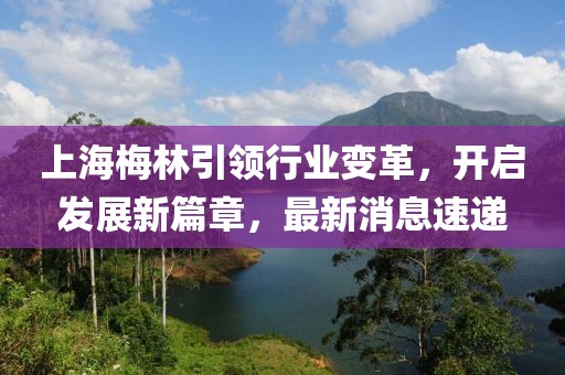 上海梅林引領行業(yè)變革,開啟發(fā)展新篇章,最新消息速遞