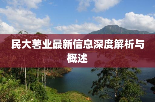 民大薯業最新信息深度解析與概述