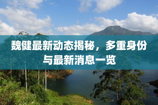 魏健最新動(dòng)態(tài)揭秘,多重身份與最新消息一覽