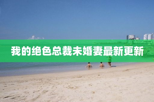 我的絕色總裁未婚妻最新更新