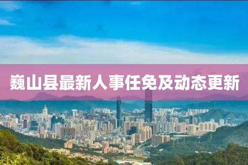 巍山縣最新人事任免及動態更新