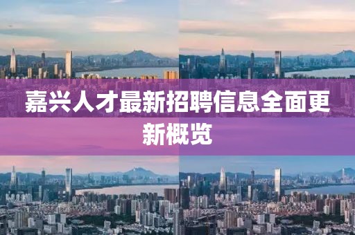 嘉興人才最新招聘信息全面更新概覽