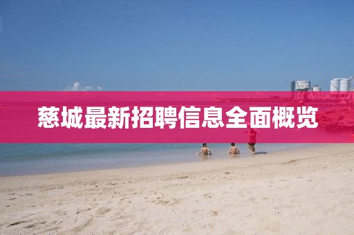 慈城最新招聘信息全面概覽