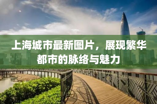 云九卿 第14頁(yè)