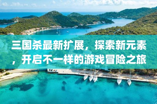 三國殺最新擴(kuò)展,探索新元素,開啟不一樣的游戲冒險之旅