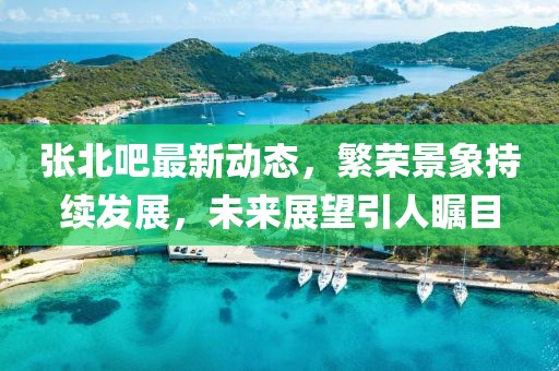 張北吧最新動態(tài),繁榮景象持續(xù)發(fā)展,未來展望引人矚目