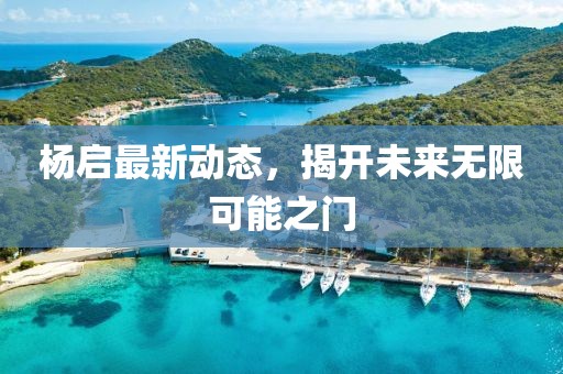 楊啟最新動(dòng)態(tài),揭開未來(lái)無(wú)限可能之門