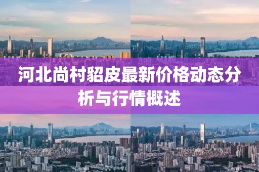 河北尚村貂皮最新價格動態分析與行情概述