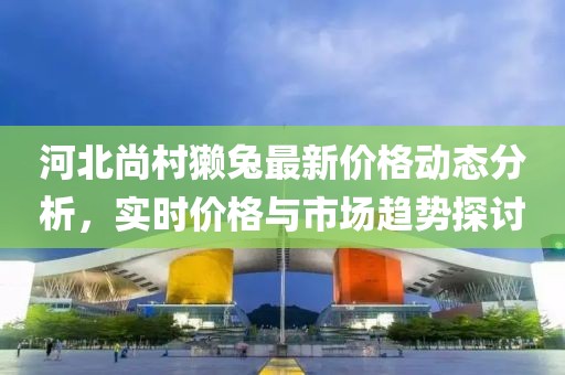 河北尚村獺兔最新價(jià)格動(dòng)態(tài)分析,實(shí)時(shí)價(jià)格與市場(chǎng)趨勢(shì)探討