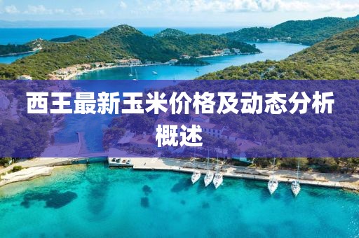西王最新玉米價格及動態分析概述