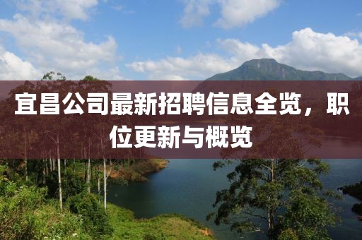 宜昌公司最新招聘信息全覽,職位更新與概覽