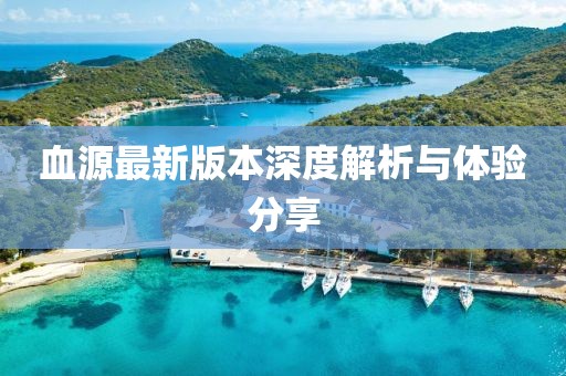 血源最新版本深度解析與體驗分享