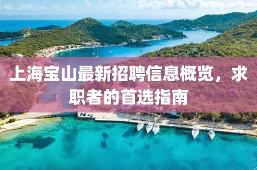 上海寶山最新招聘信息概覽,求職者的首選指南