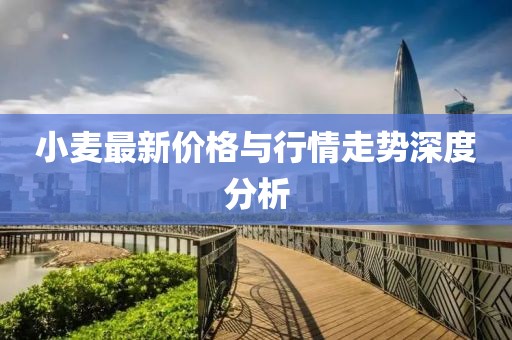 小麥最新價格與行情走勢深度分析
