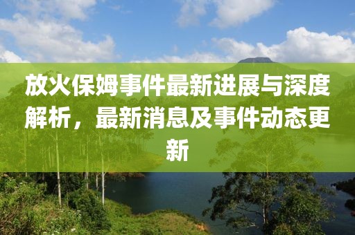 放火保姆事件最新進展與深度解析,最新消息及事件動態更新