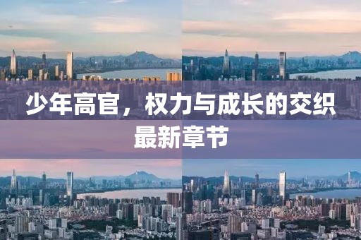 少年高官,權力與成長的交織最新章節