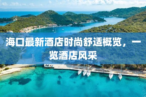 海口最新酒店時尚舒適概覽,一覽酒店風采