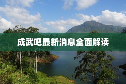 成武吧最新消息全面解讀