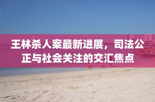 王林殺人案最新進展,司法公正與社會關注的交匯焦點