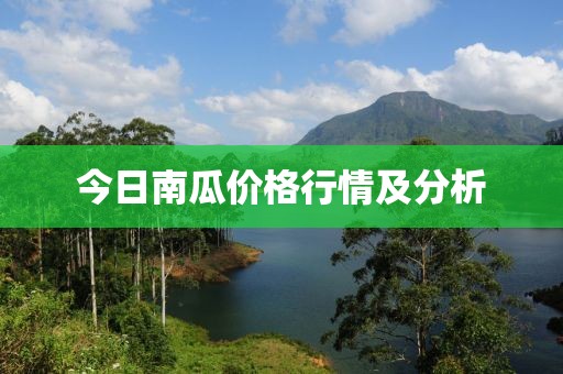 今日南瓜價格行情及分析