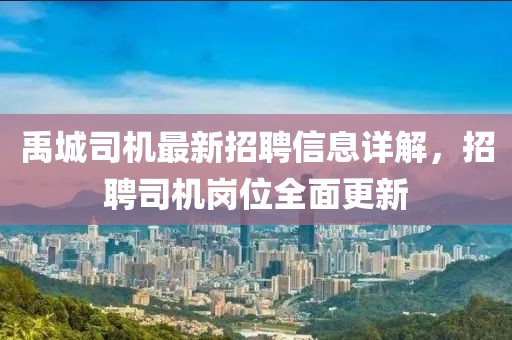 禹城司機最新招聘信息詳解，招聘司機崗位全面更新