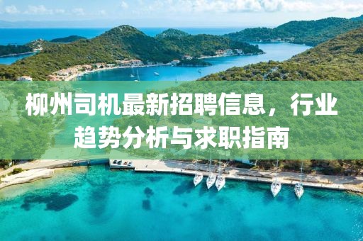 柳州司機最新招聘信息,行業趨勢分析與求職指南