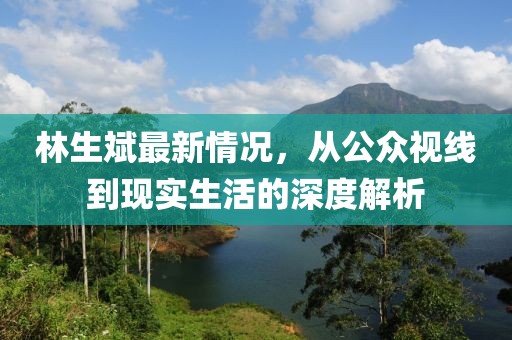 林生斌最新情況，從公眾視線到現實生活的深度解析