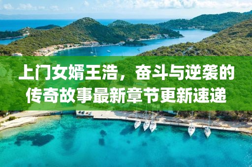 上門女婿王浩,奮斗與逆襲的傳奇故事最新章節更新速遞